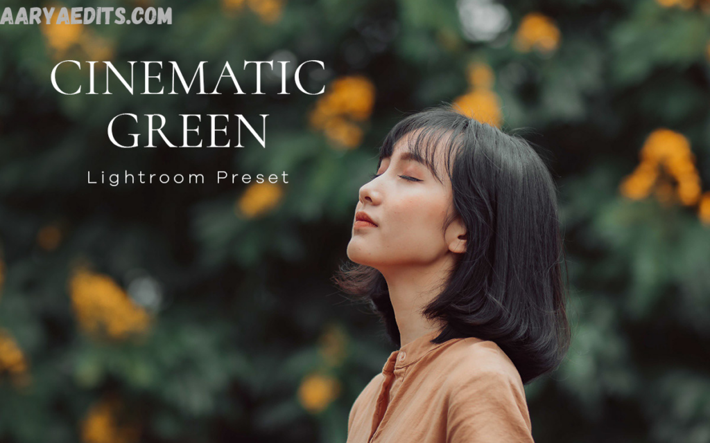 Cinematic Lightroom Presets