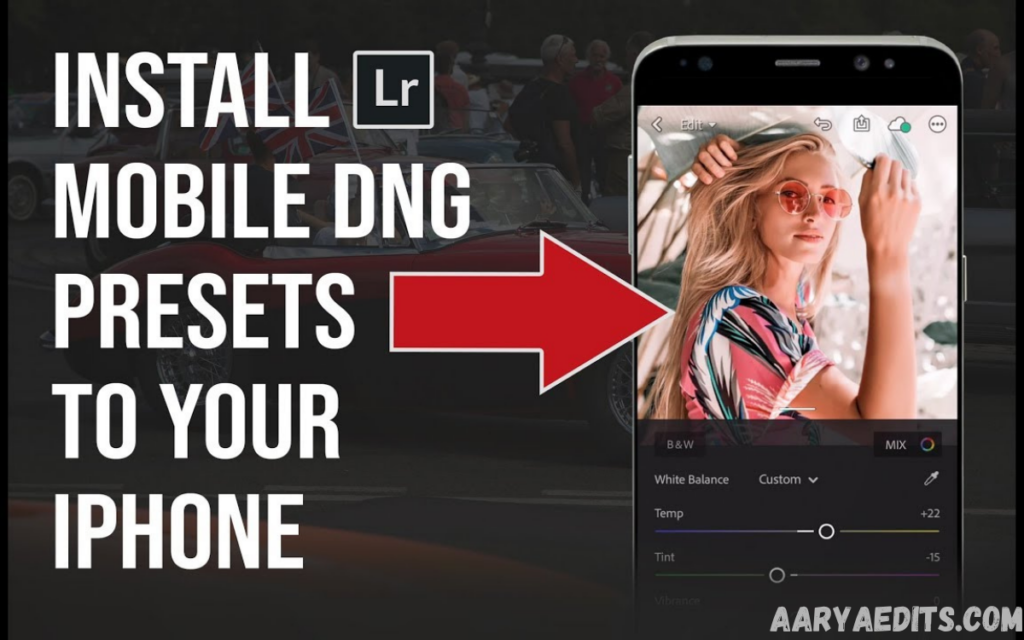 Download Free DNG Presets