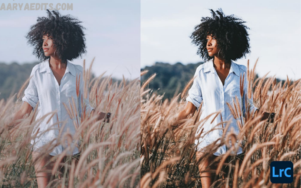Lightroom Filters Free