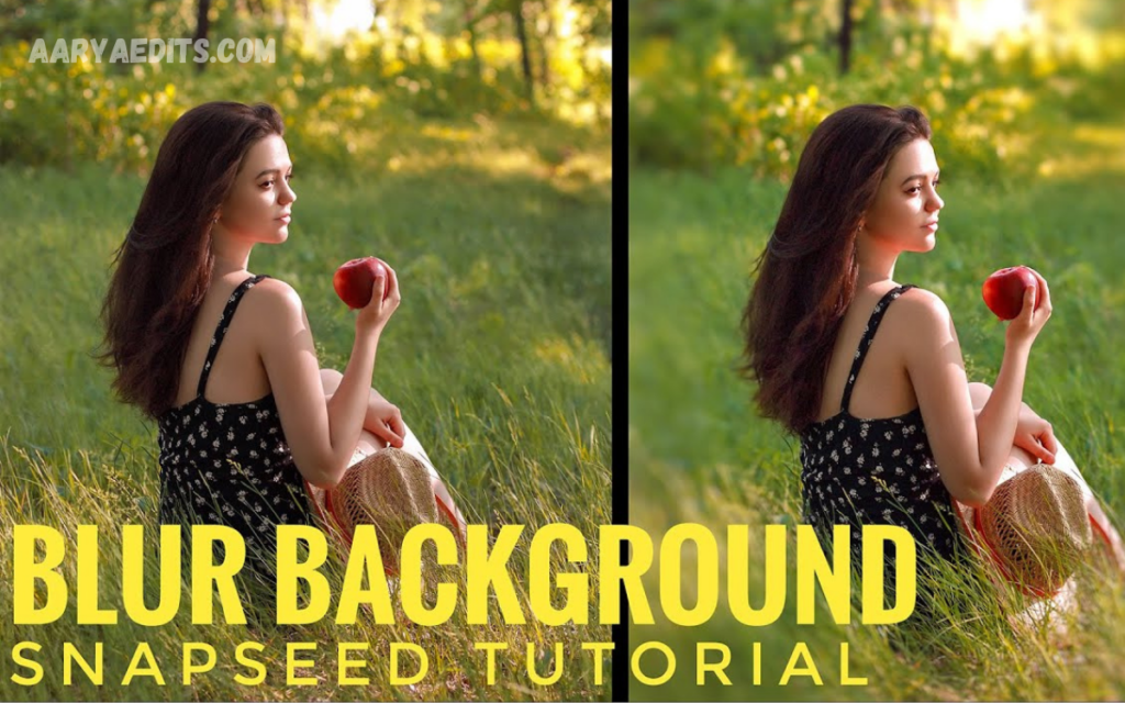 Snapseed Blur Effect Tutorial