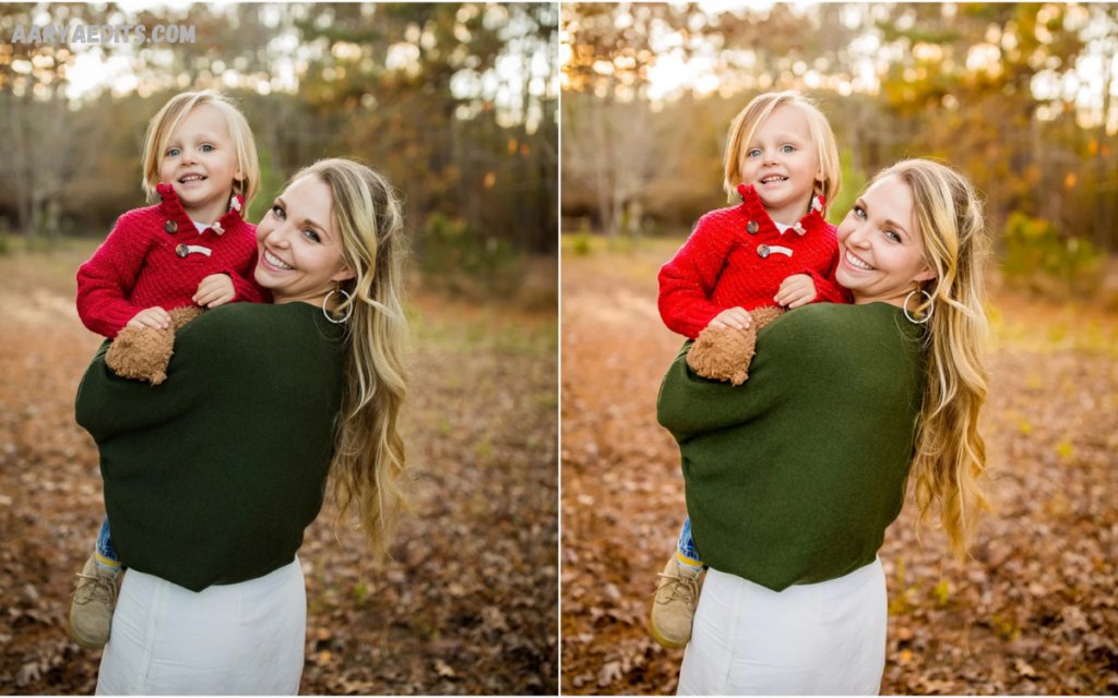 Lightroom Portrait Presets